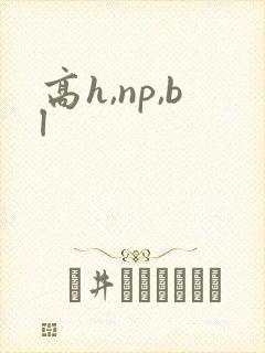 高h,np,bl封面