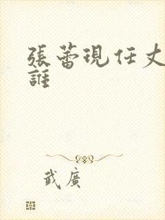 张蕾现任丈夫是谁
