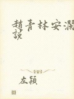 赵青林安澜的小说