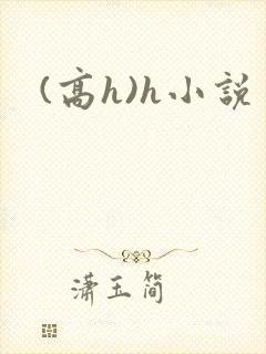 (高h)h小说