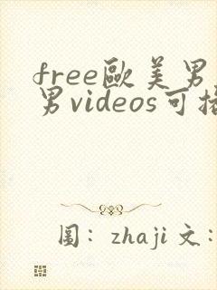 free欧美男男videos可播放