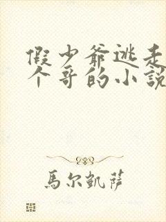 假少爷逃走成七个哥的小说