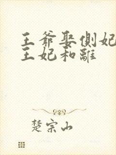王爷娶侧妃当天王妃和离