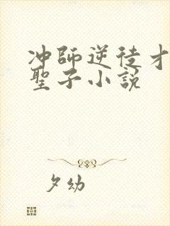 冲师逆徒才不是圣子小说封面