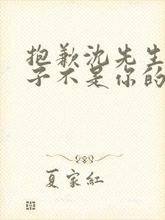 抱歉沈先生,孩子不是你的短剧合集