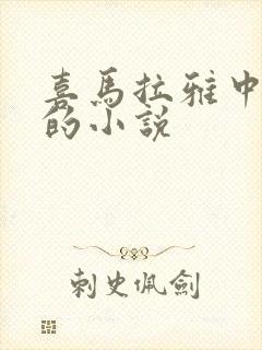 喜马拉雅中好听的小说封面