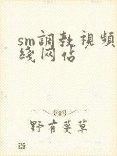 sm调教视频在线网站