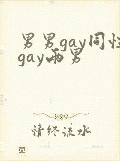 男男gay同性gay两男封面