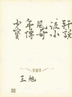 少年风流轩辕大宝传奇小说封面