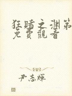 狂赌之渊第二季免费观看