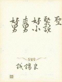 好爽好紧圣子h男男小说
