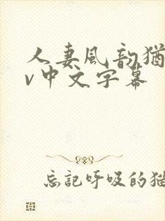 人妻风韵犹存av中文字幕