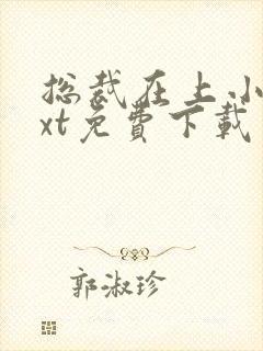 总裁在上小说txt免费下载