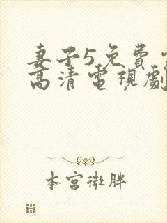 妻子5免费完整高清电视剧在线观看古