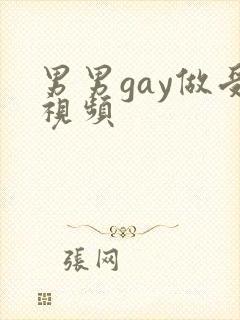 男男gay做受视频