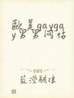 欧美gaygay男男网站封面