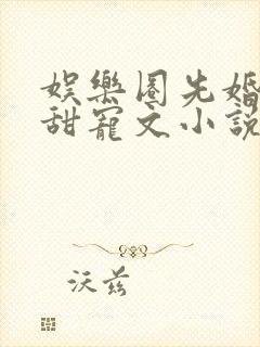 娱乐圈先婚后爱甜宠文小说