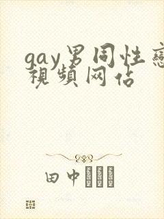 gay男同性恋视频网站