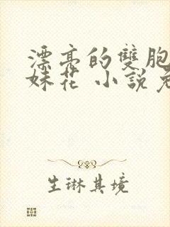 漂亮的双胞胎姐妹花 小说免费阅读全本