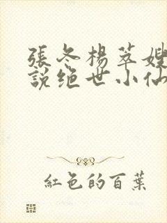 张冬杨萃嫂的小说绝世小仙医封面