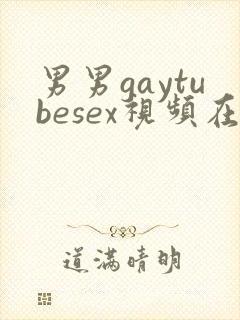 男男gaytubesex视频在线观看