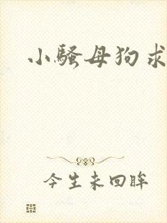 小骚母狗求操