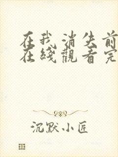 在我消失前电影在线观看完整版封面