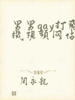 男男gay打飞机视频网站