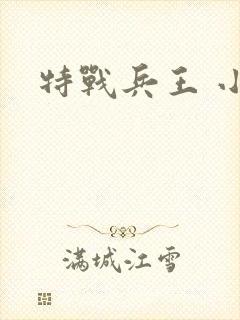 特战兵王 小说封面