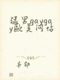 猛男gaygay欧美网站