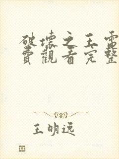 破坏之王电影免费观看完整版国语封面