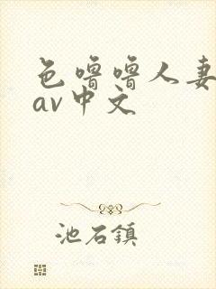 色噜噜人妻丝袜av中文封面