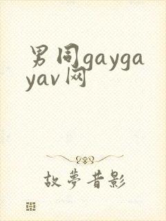 男同gaygayav网