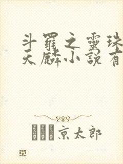 斗罗之灵珠神剑天麟小说有声听书免费封面
