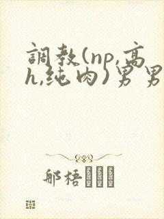 调教(np,高h,纯肉)男男封面