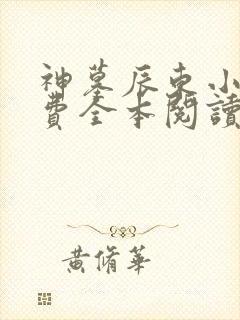 神墓辰东小说免费全本阅读