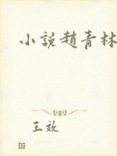 小说赵青林安澜