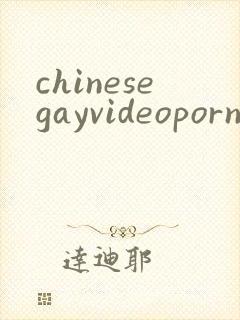 chinesegayvideoporn