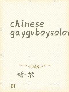 chinesegaygvboysolovideo