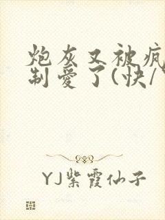 炮灰又被疯批强制爱了(快/穿