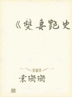 《双妻艳史》封面