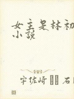 女主是林初夏的小说
