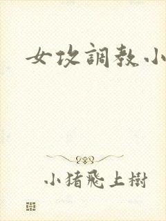 女攻调教小说h