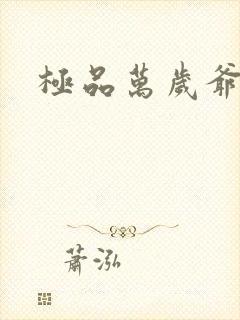 极品万岁爷的