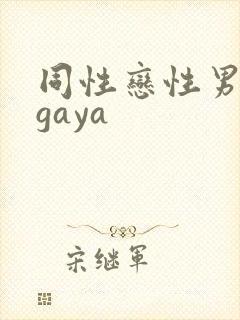 同性恋性男男人gaya封面