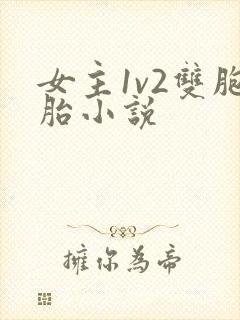 女主1v2双胞胎小说