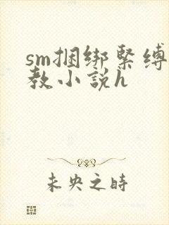 sm捆绑紧缚调教小说h
