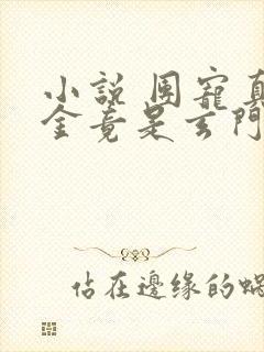 小说 团宠真千金竟是玄门大佬封面