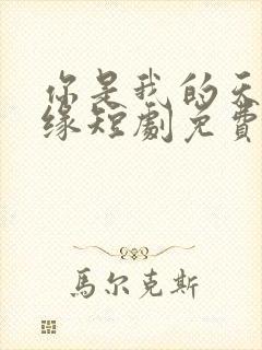 你是我的天赐良缘短剧免费观看全集高清