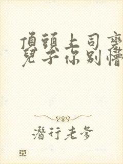 顶头上司变后妈儿子你别懵完结